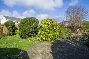 Photo 23- click for photo gallery